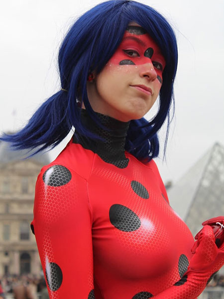 Vidoleo - Ladybug